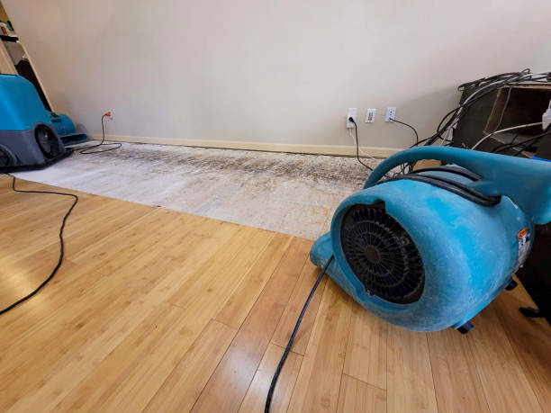 Professional Water Damage Repair technician working in Bridgewater, NJ